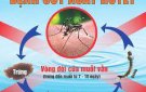 Hãy dành 10 phút để diệt bọ gậy, lăng quăng và thực hiện các biện pháp phòng bệnh sốt xuất huyết